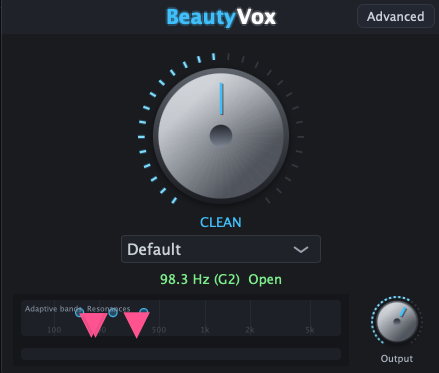 BeautyVox Plugin Screenshot